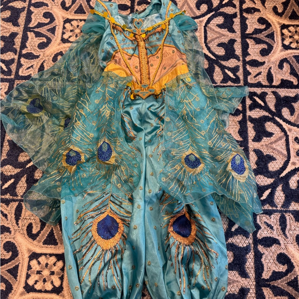 Peacock Feather Costume Dress